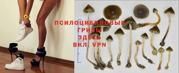гидра Абдулино