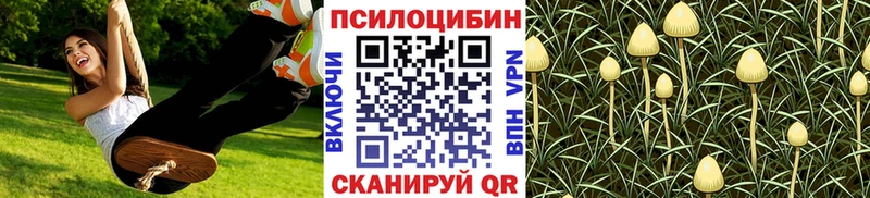 Псилоцибиновые грибы Psilocybine cubensis Новотитаровская